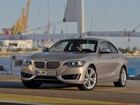 BMW 2 Series Coupe 2014 Poster 7492